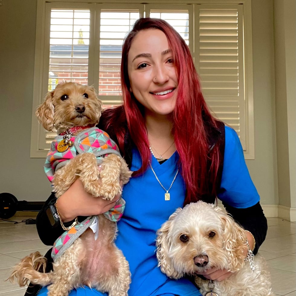 Photo in Sitter's gallery