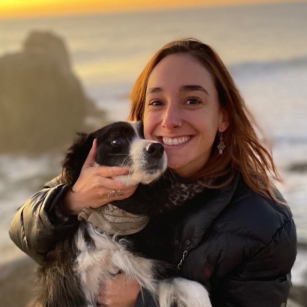 Photo in Sitter's gallery