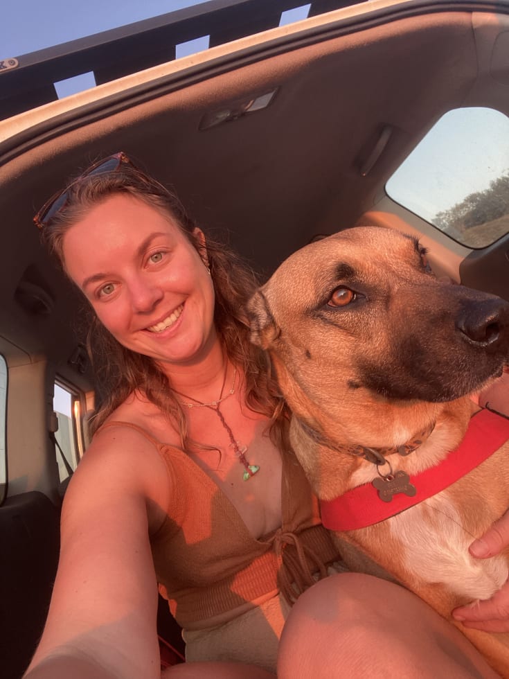 Photo in Sitter's gallery