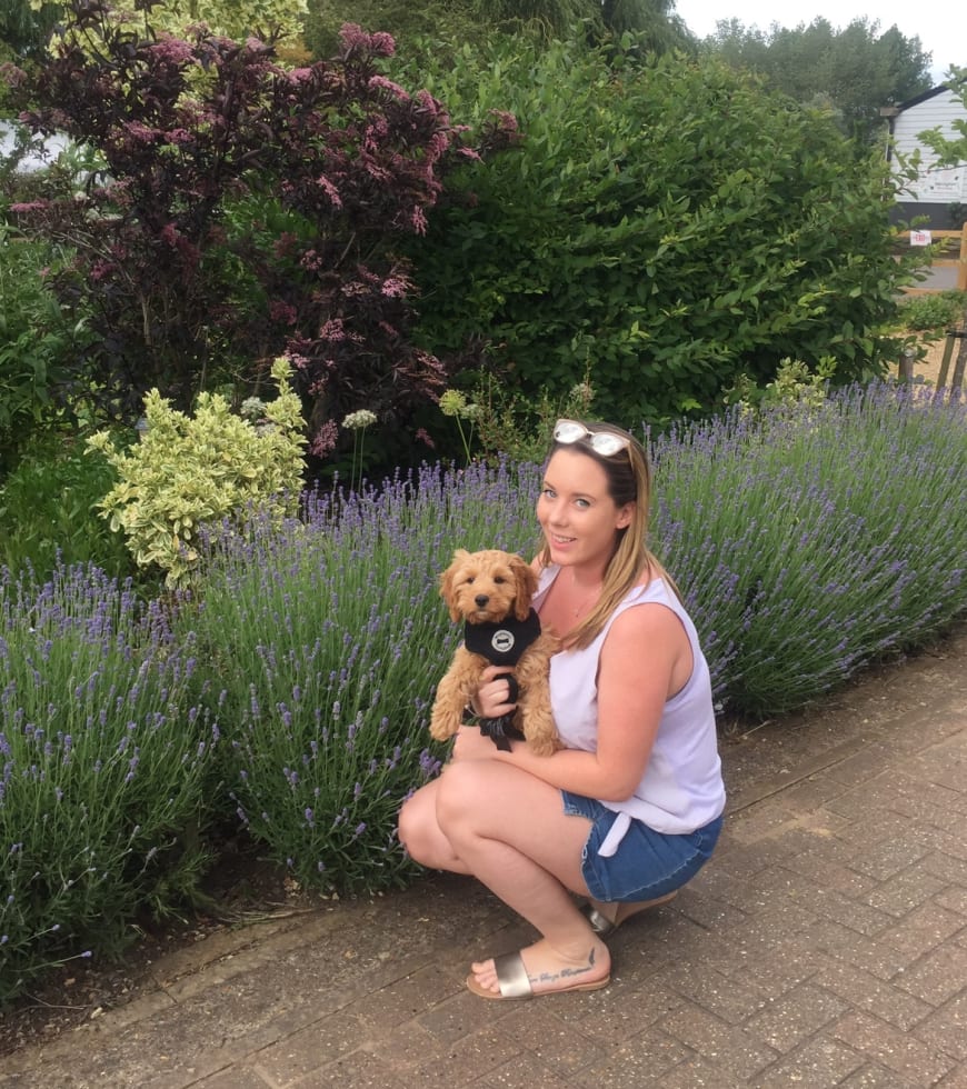 Photo in Sitter's gallery