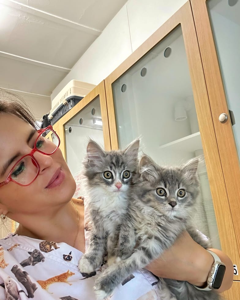 Photo in Sitter's gallery