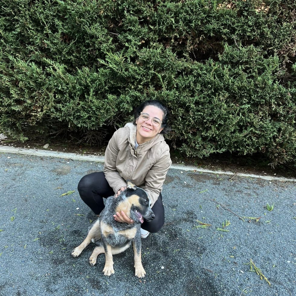 Photo in Sitter's gallery