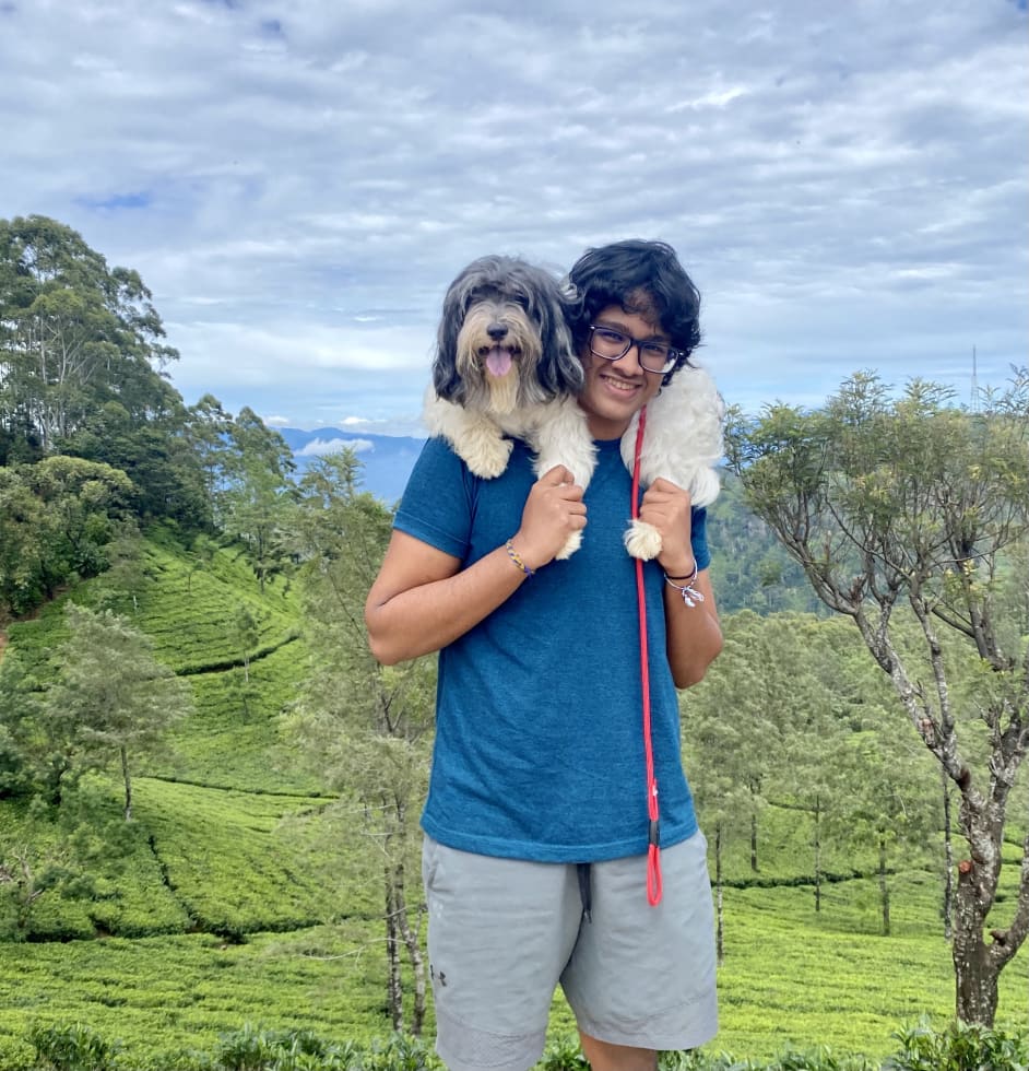 Photo in Sitter's gallery