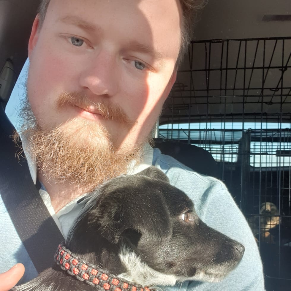 Photo in Sitter's gallery