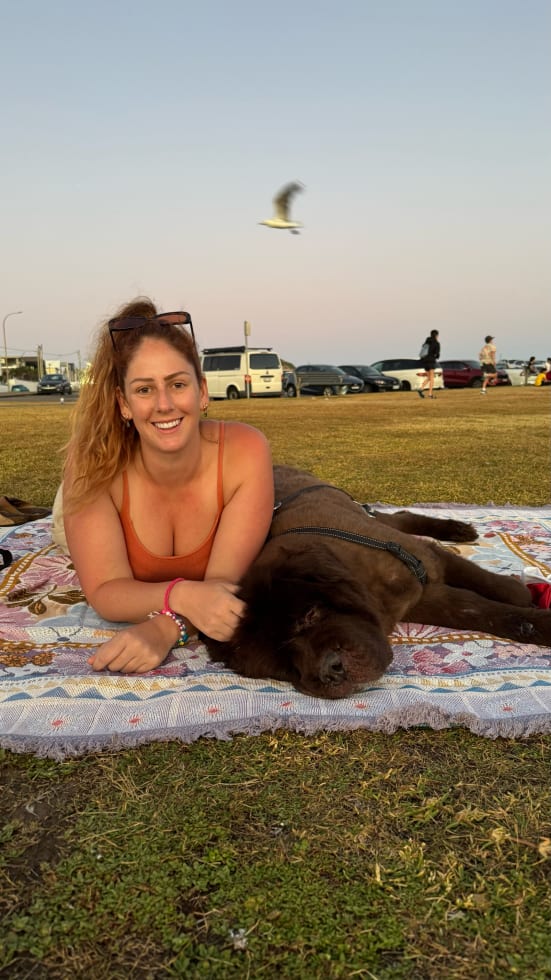 Photo in Sitter's gallery