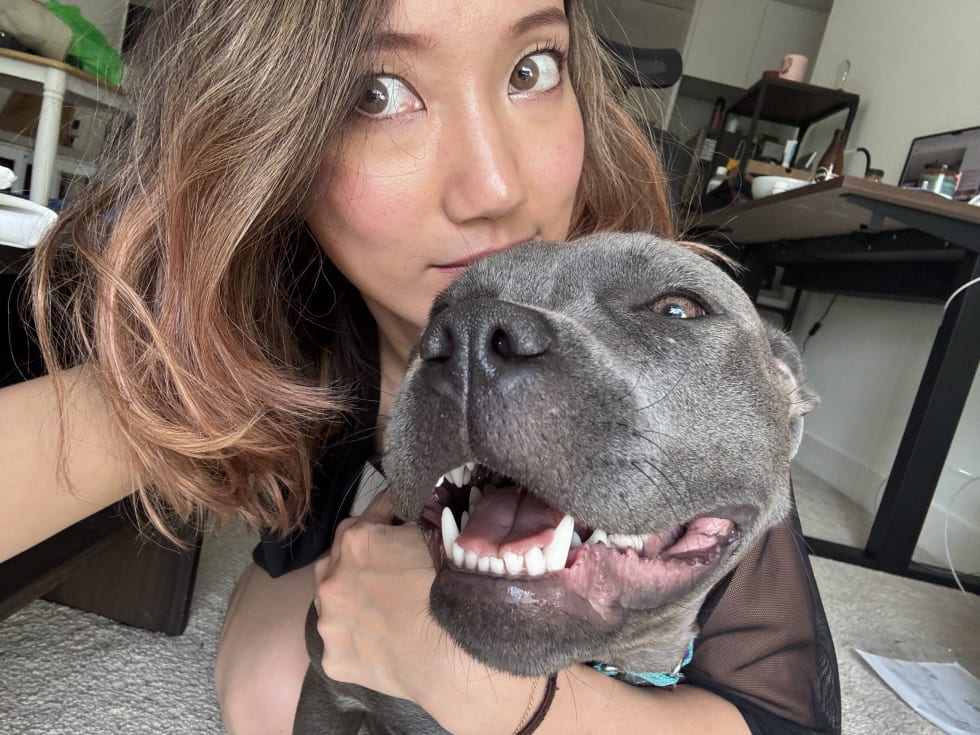 Photo in Sitter's gallery