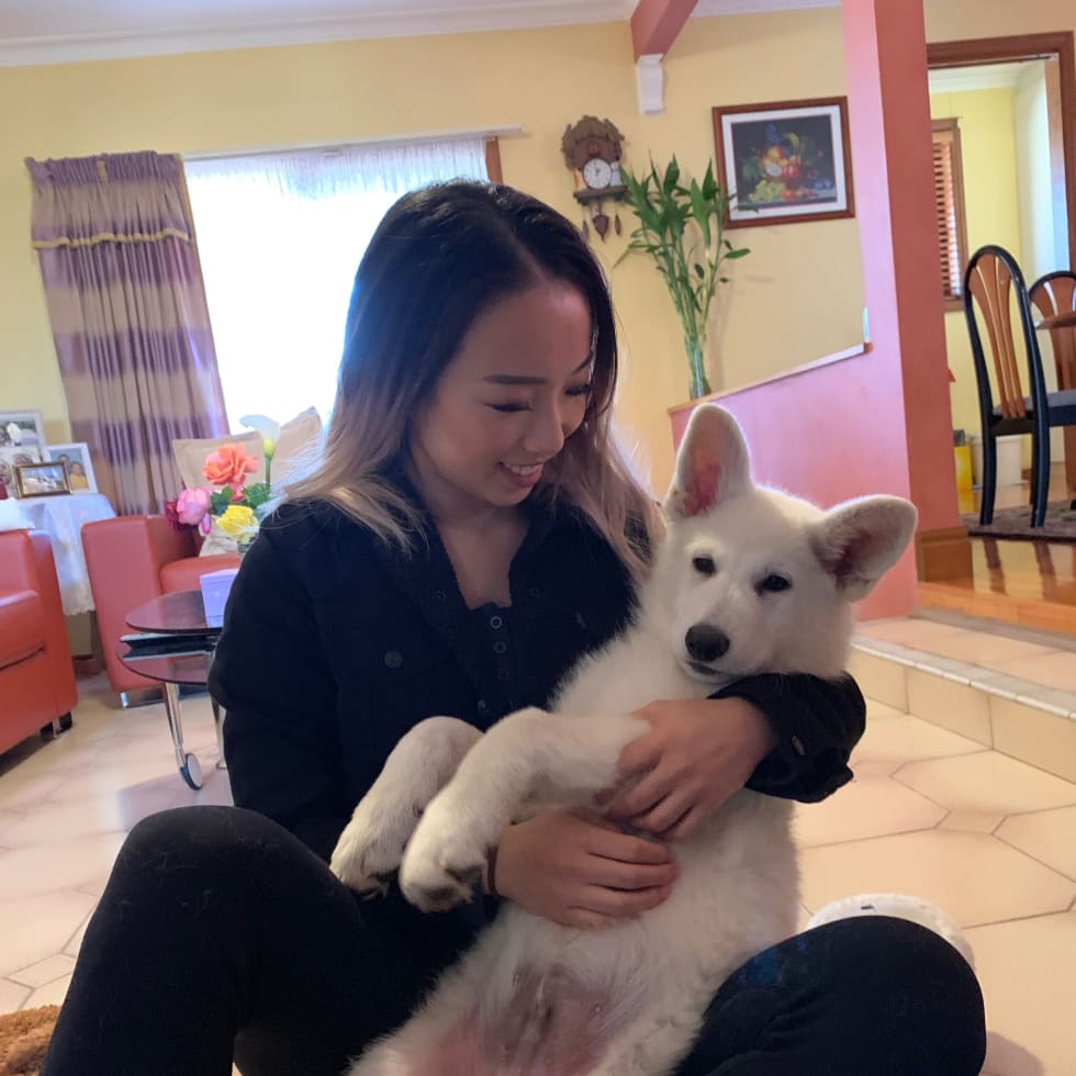 Photo in Sitter's gallery