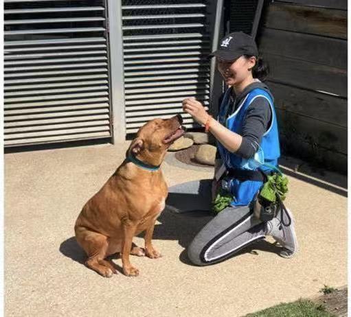 Photo in Sitter's gallery