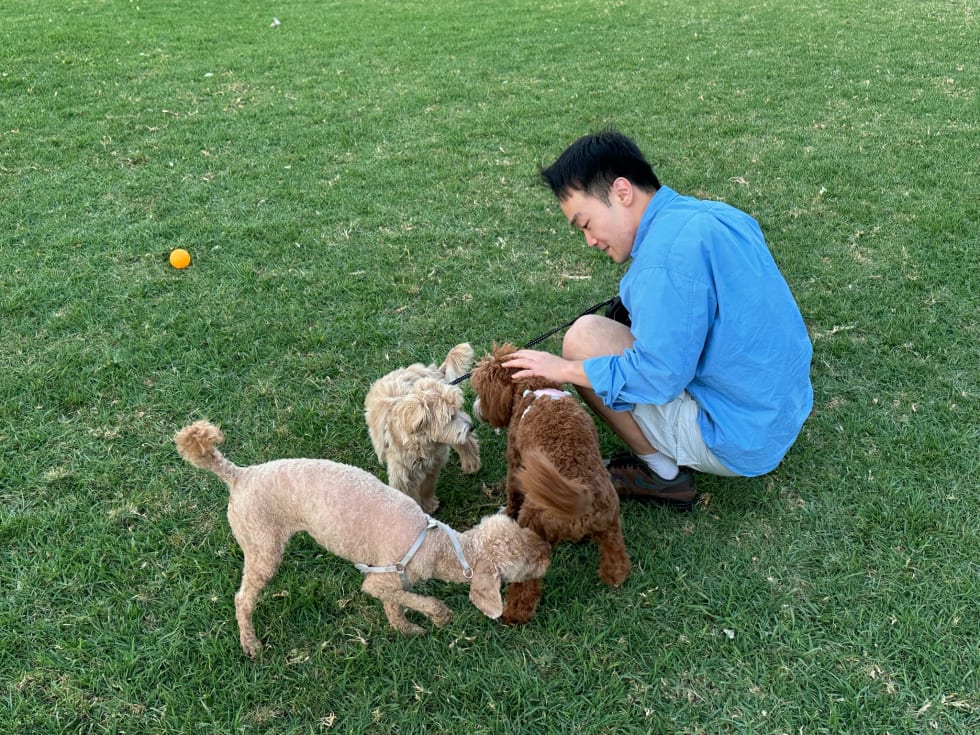 Photo in Sitter's gallery