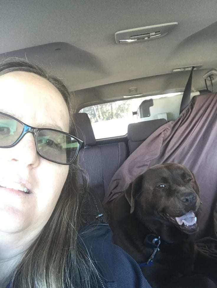 Photo in Sitter's gallery