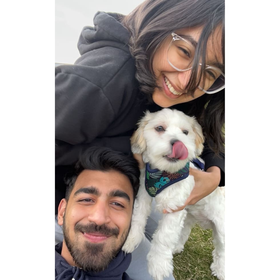 Photo in Sitter's gallery