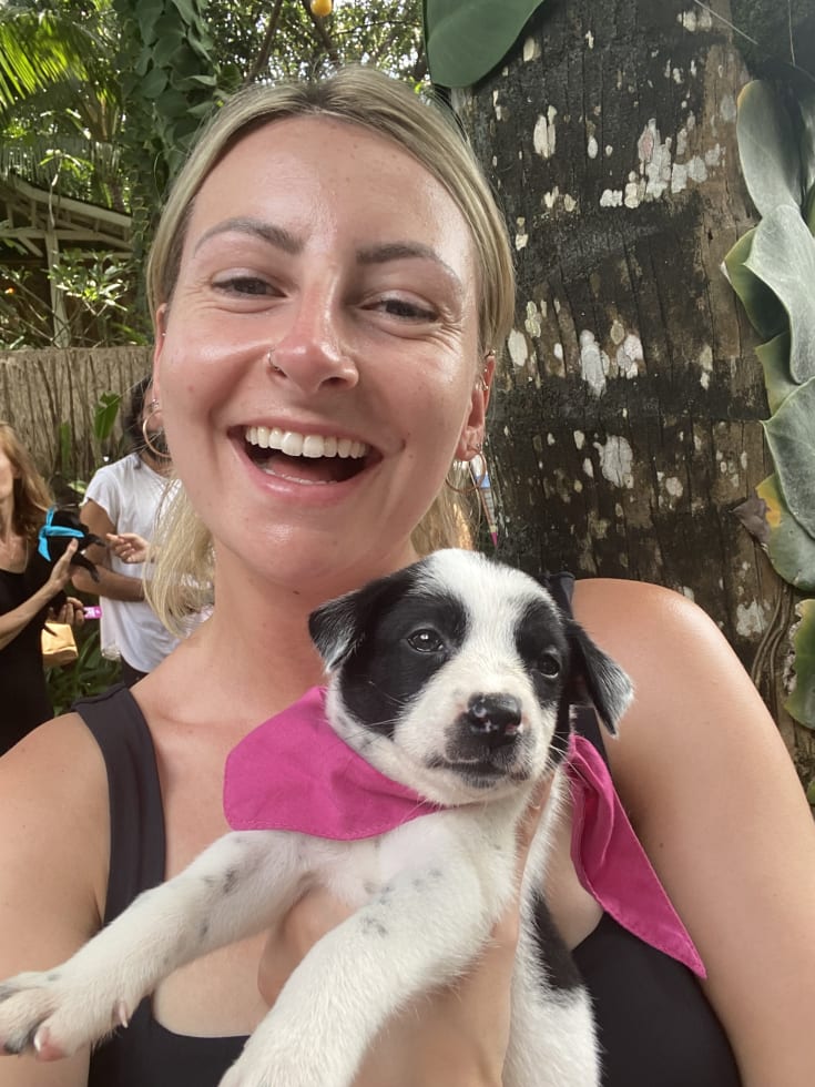 Photo in Sitter's gallery