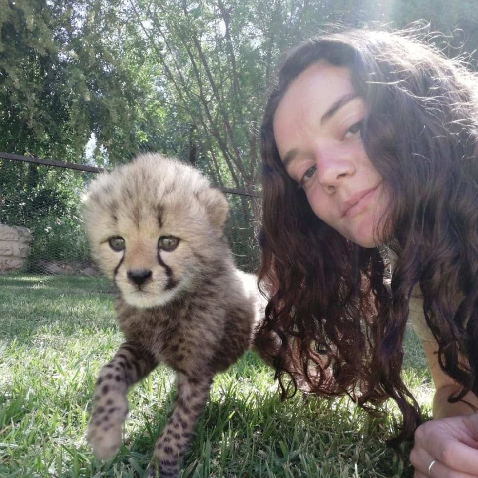 Photo in Sitter's gallery