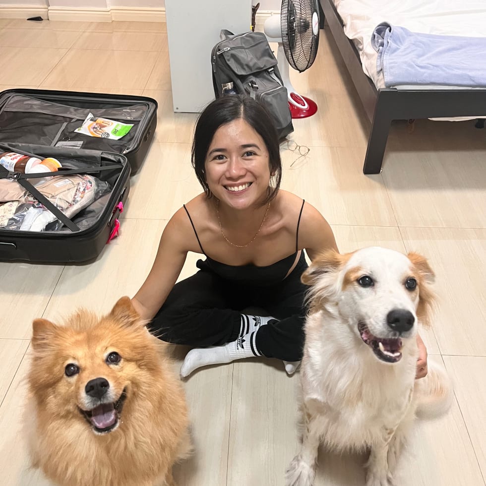 Photo in Sitter's gallery