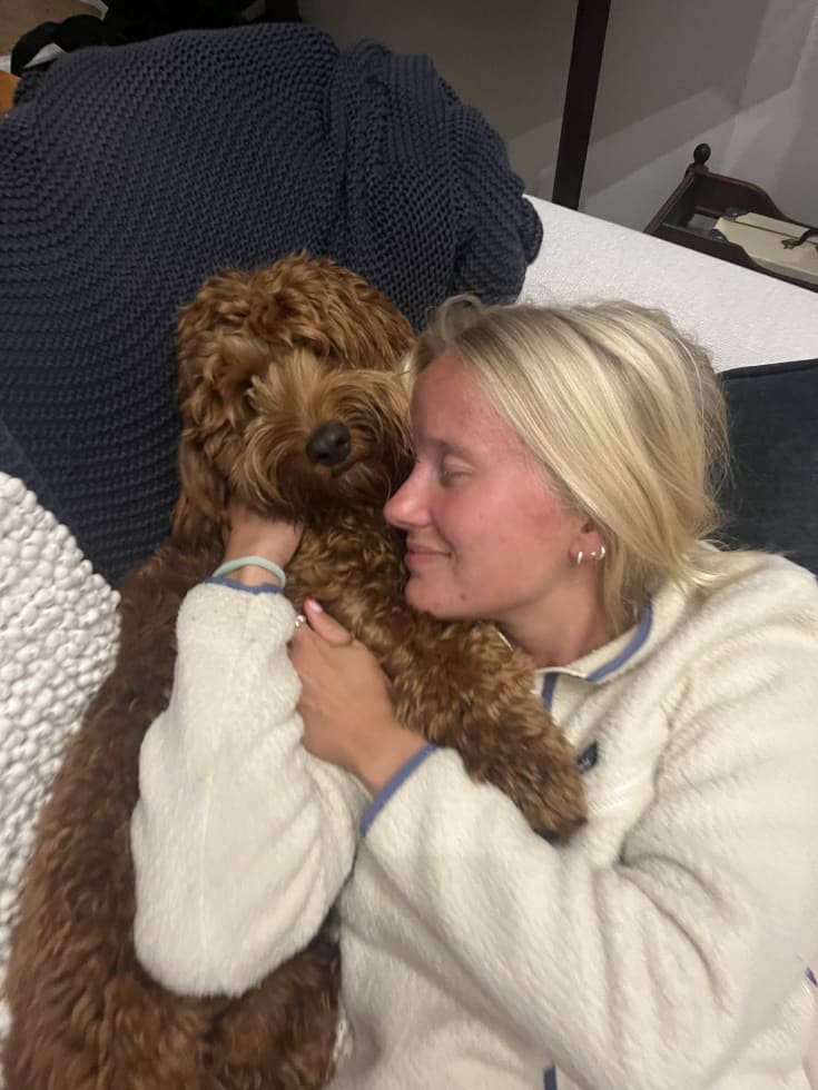 Photo in Sitter's gallery