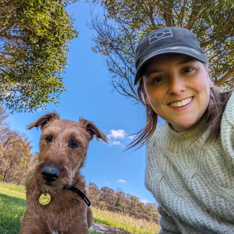 Photo in Sitter's gallery