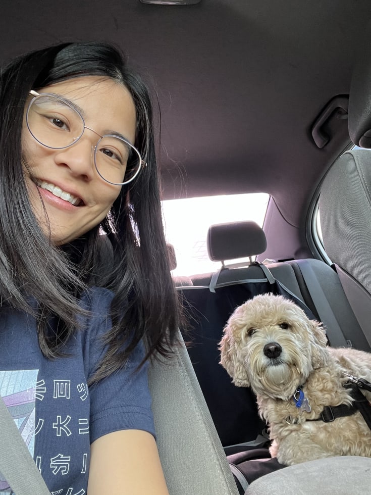 Photo in Sitter's gallery