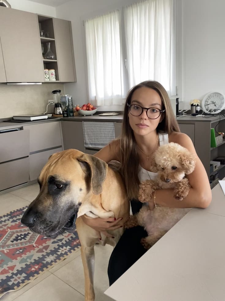 Photo in Sitter's gallery