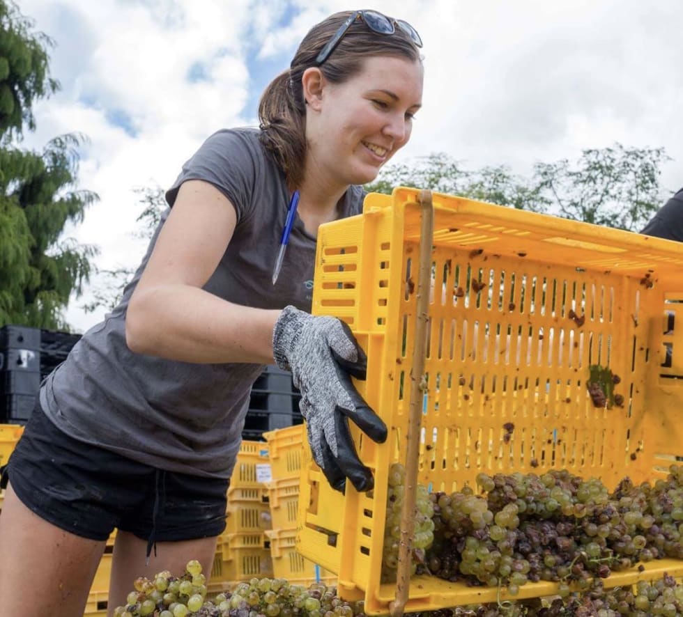 Photo in Sitter's gallery