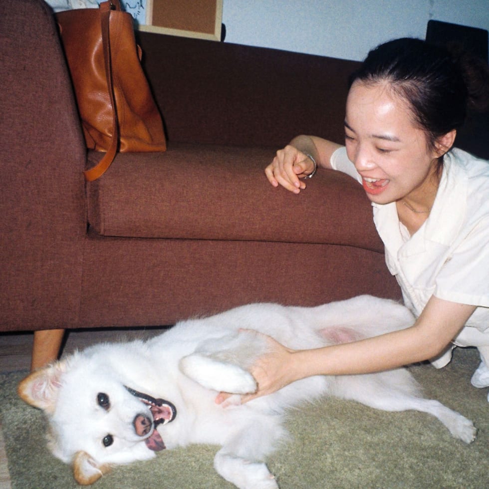 Photo in Sitter's gallery