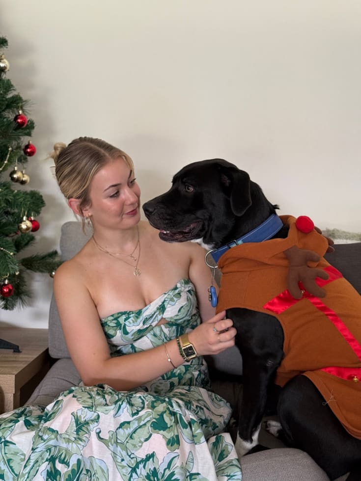 Photo in Sitter's gallery