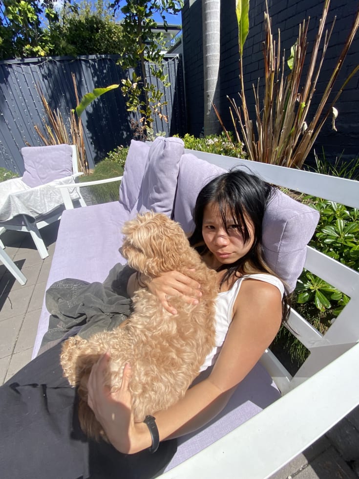 Photo in Sitter's gallery