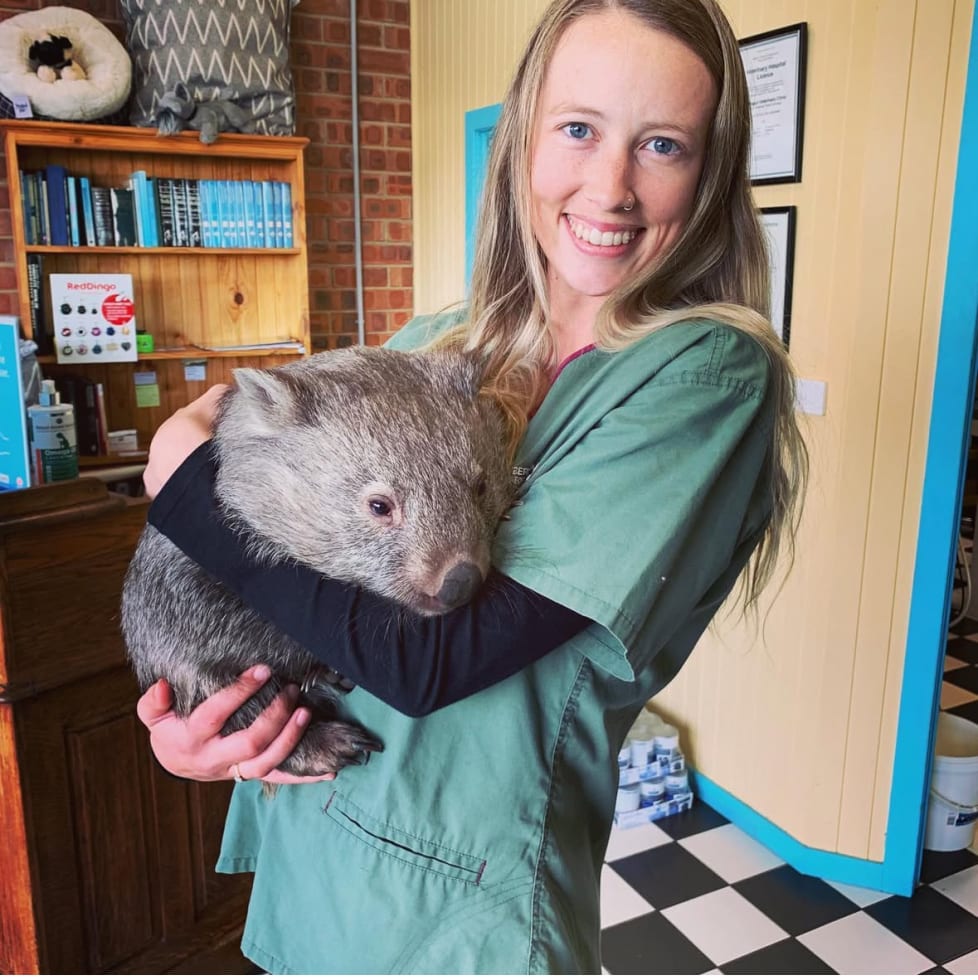 Photo in Sitter's gallery