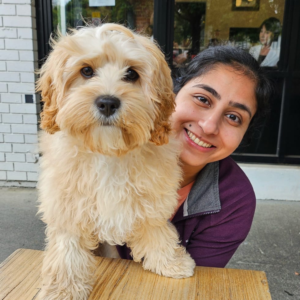 Photo in Sitter's gallery