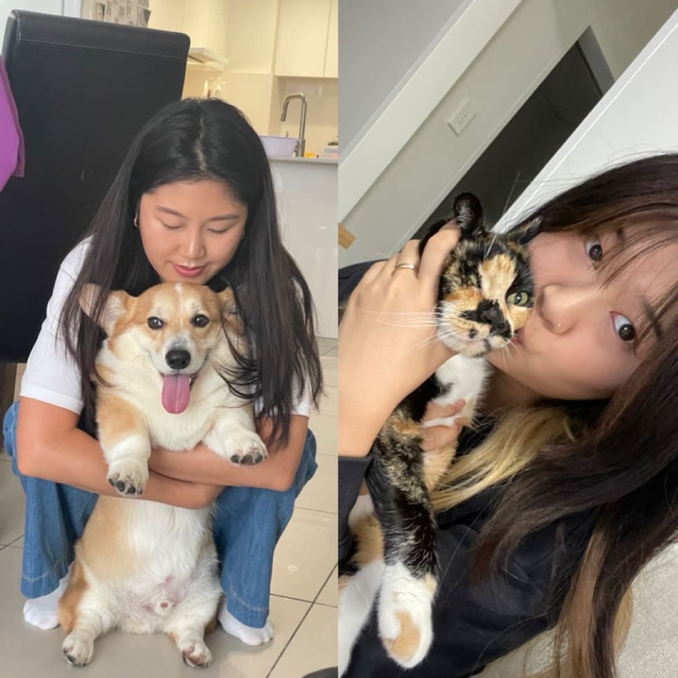 Photo in Sitter's gallery