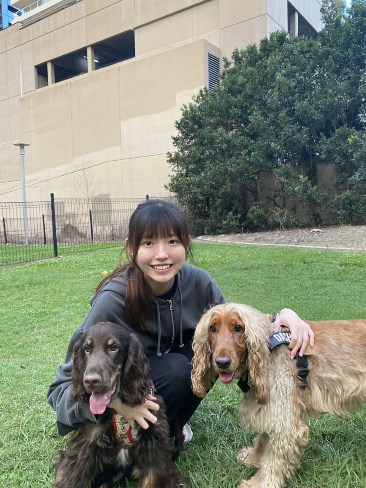 Photo in Sitter's gallery