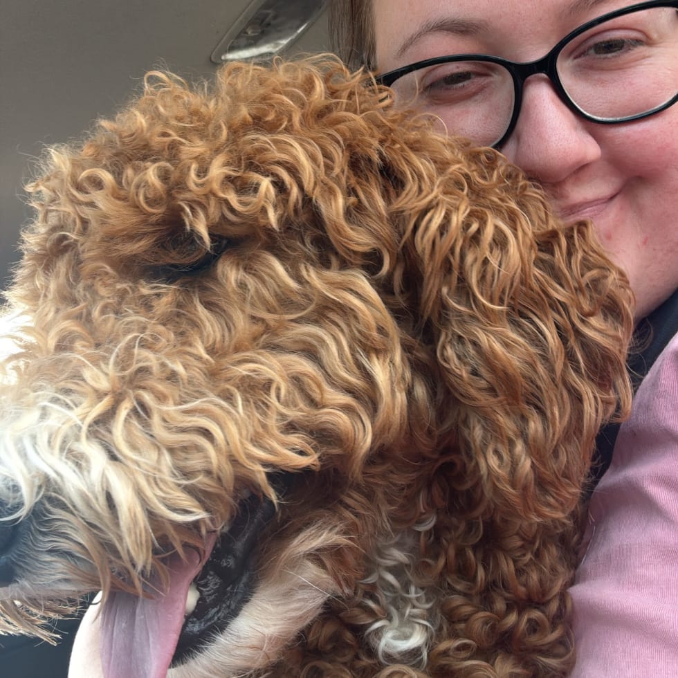 Photo in Sitter's gallery