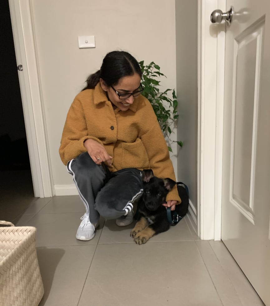 Photo in Sitter's gallery