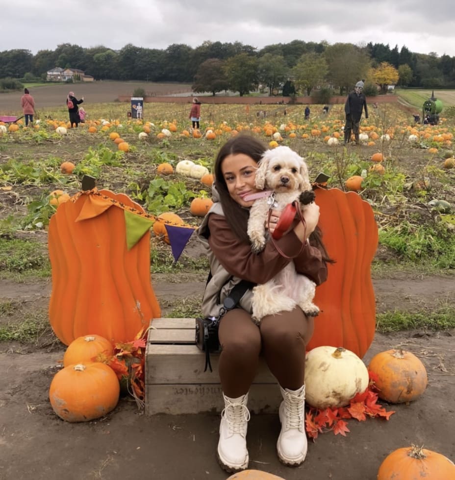 Photo in Sitter's gallery