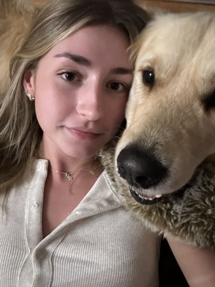 Photo in Sitter's gallery