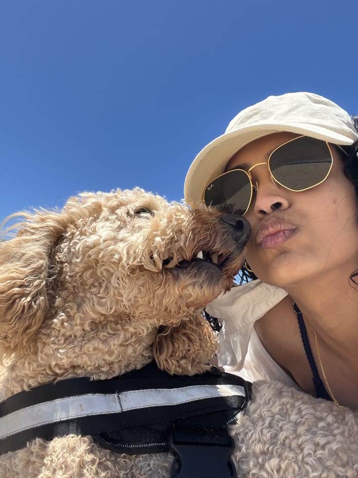 Photo in Sitter's gallery