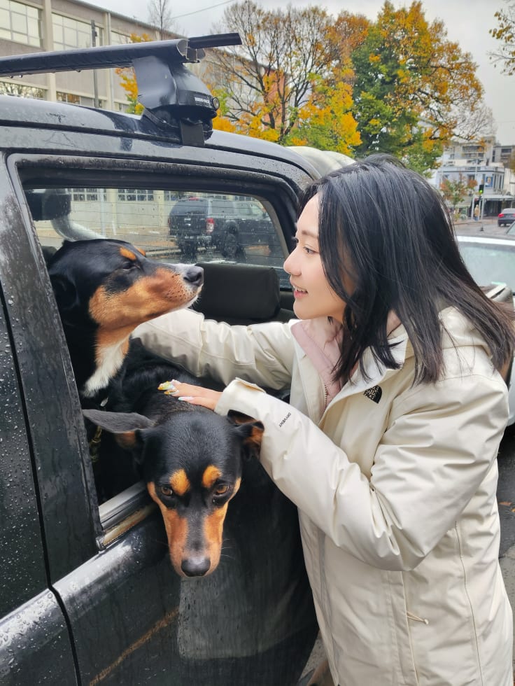 Photo in Sitter's gallery