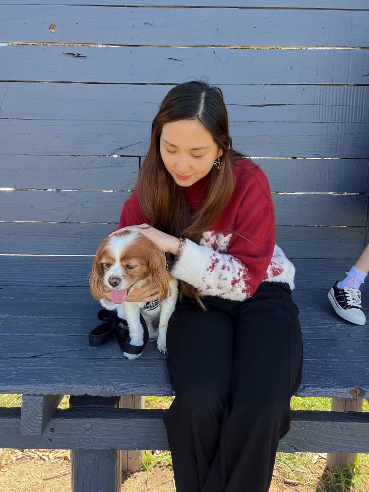 Photo in Sitter's gallery