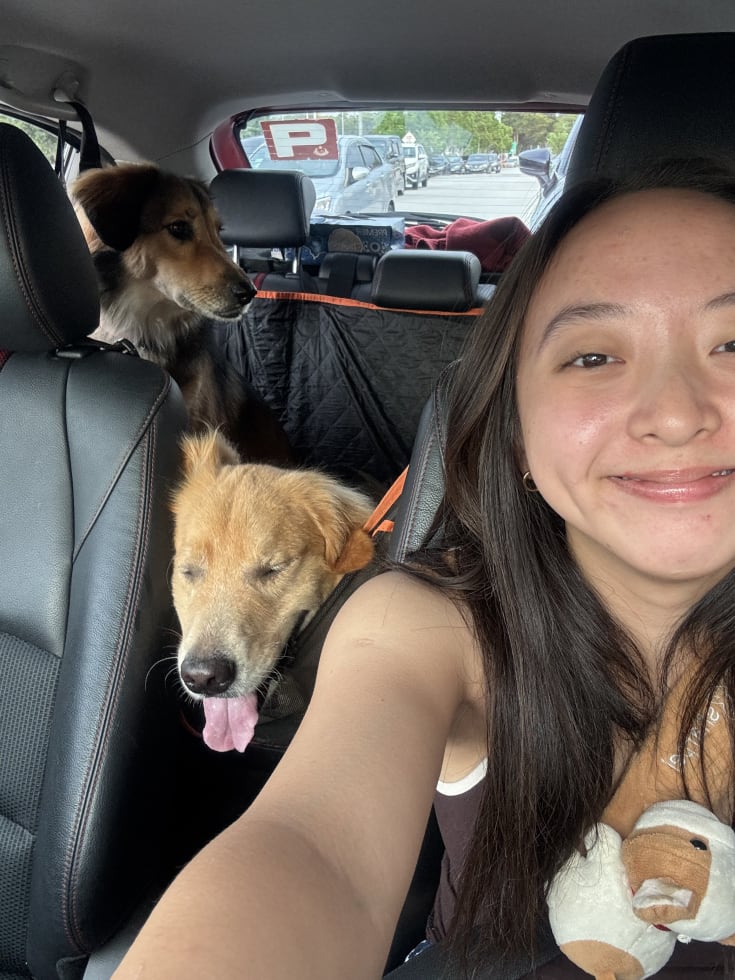 Photo in Sitter's gallery