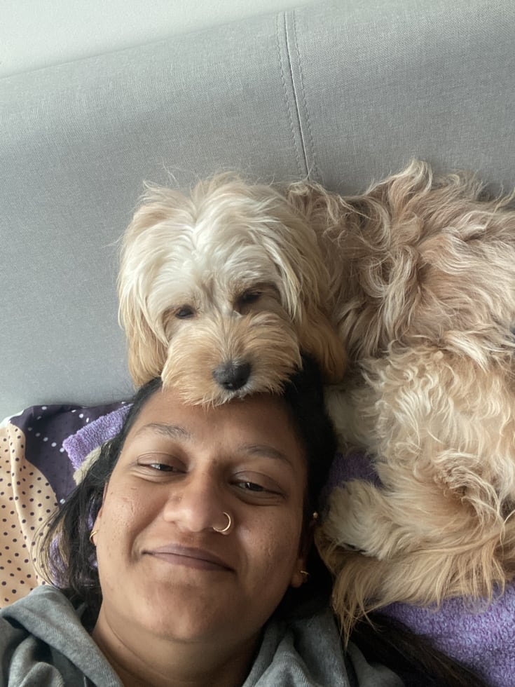 Photo in Sitter's gallery