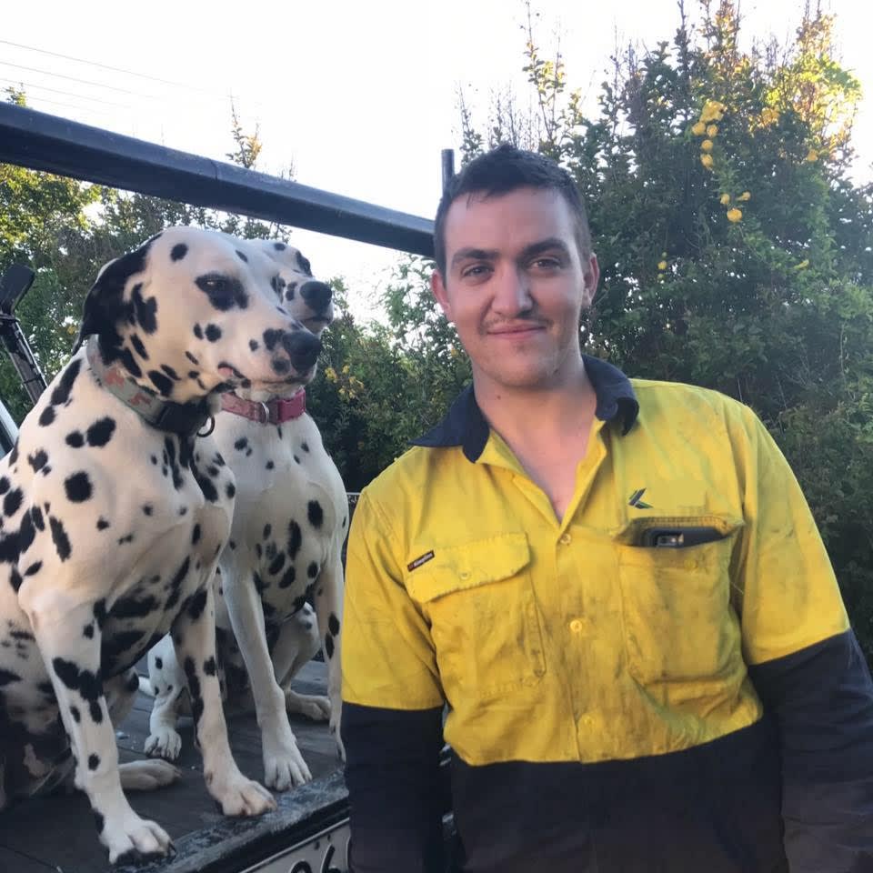 Photo in Sitter's gallery