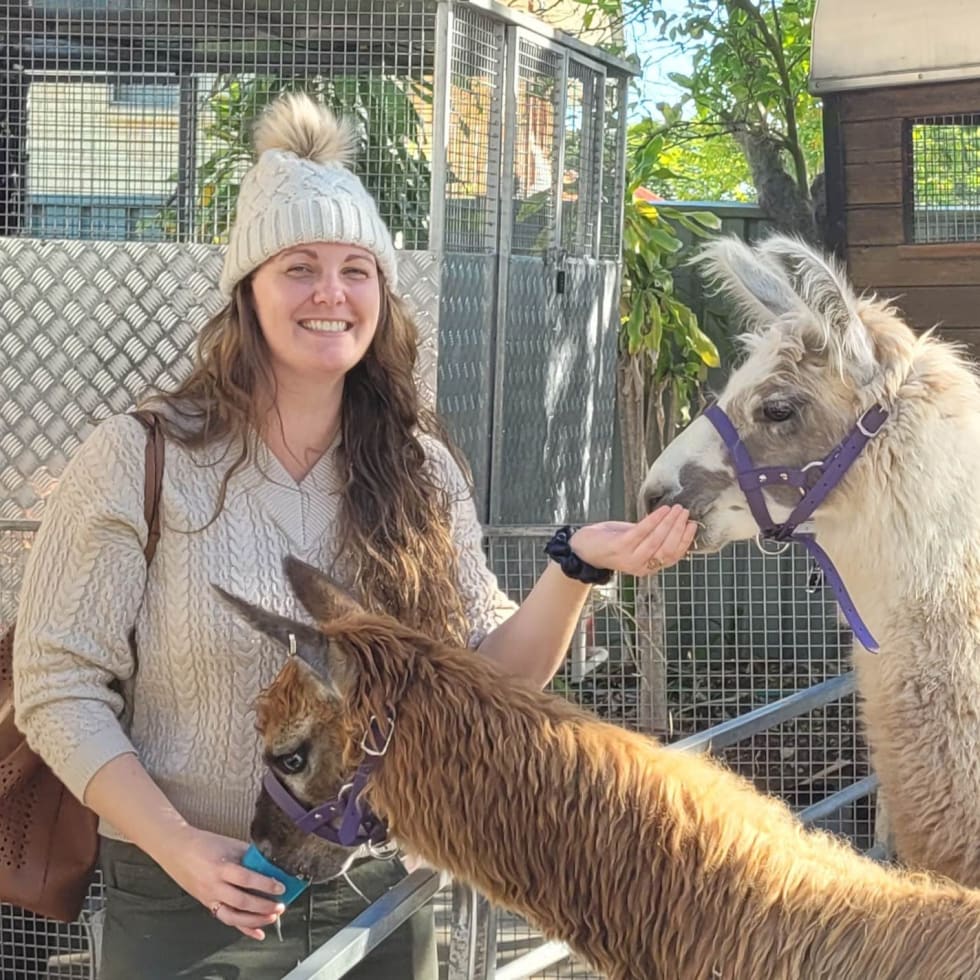 Photo in Sitter's gallery