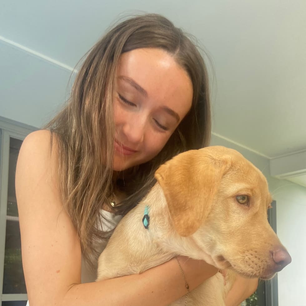 Photo in Sitter's gallery