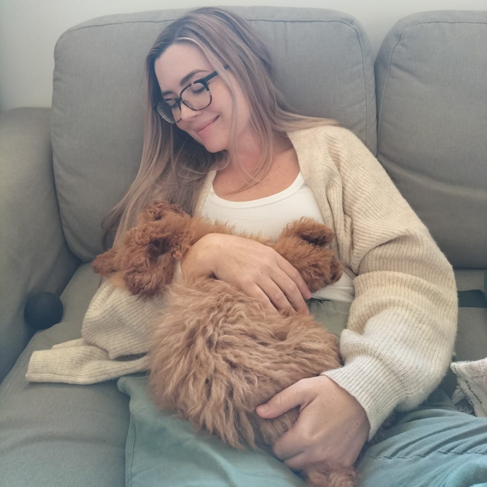 Photo in Sitter's gallery