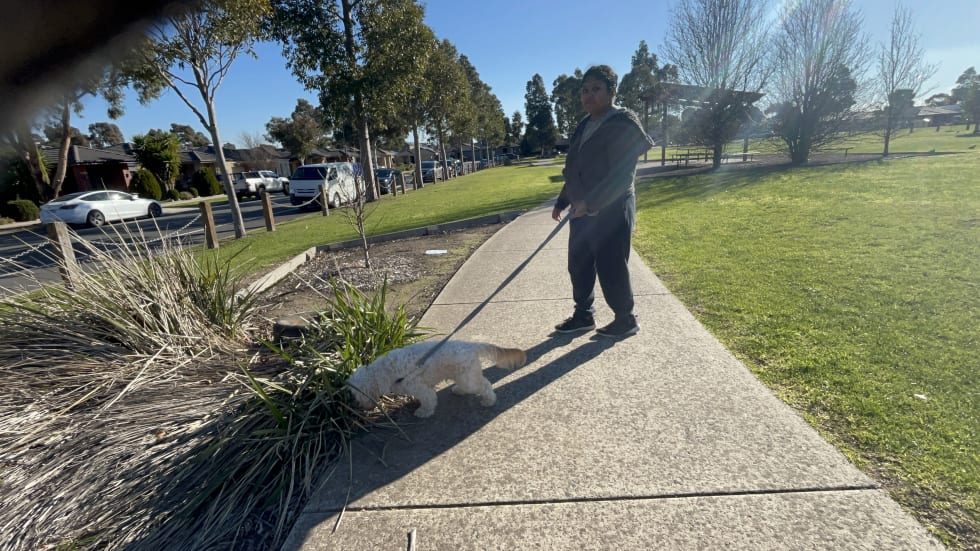 Photo in Sitter's gallery