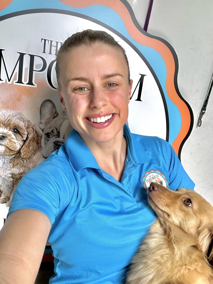 Photo in Sitter's gallery