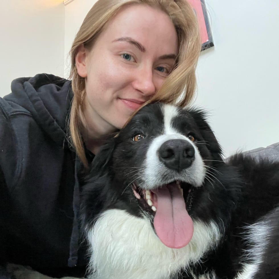 Photo in Sitter's gallery