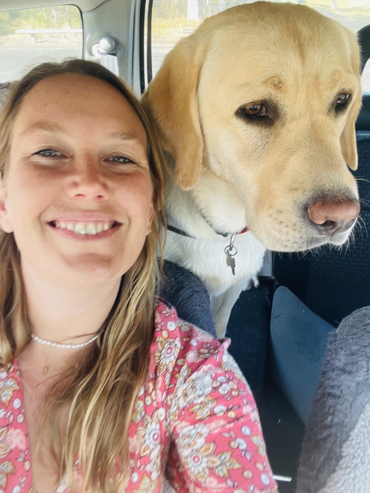 Photo in Sitter's gallery