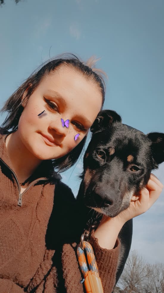 Photo in Sitter's gallery