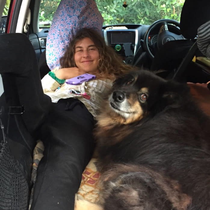 Photo in Sitter's gallery