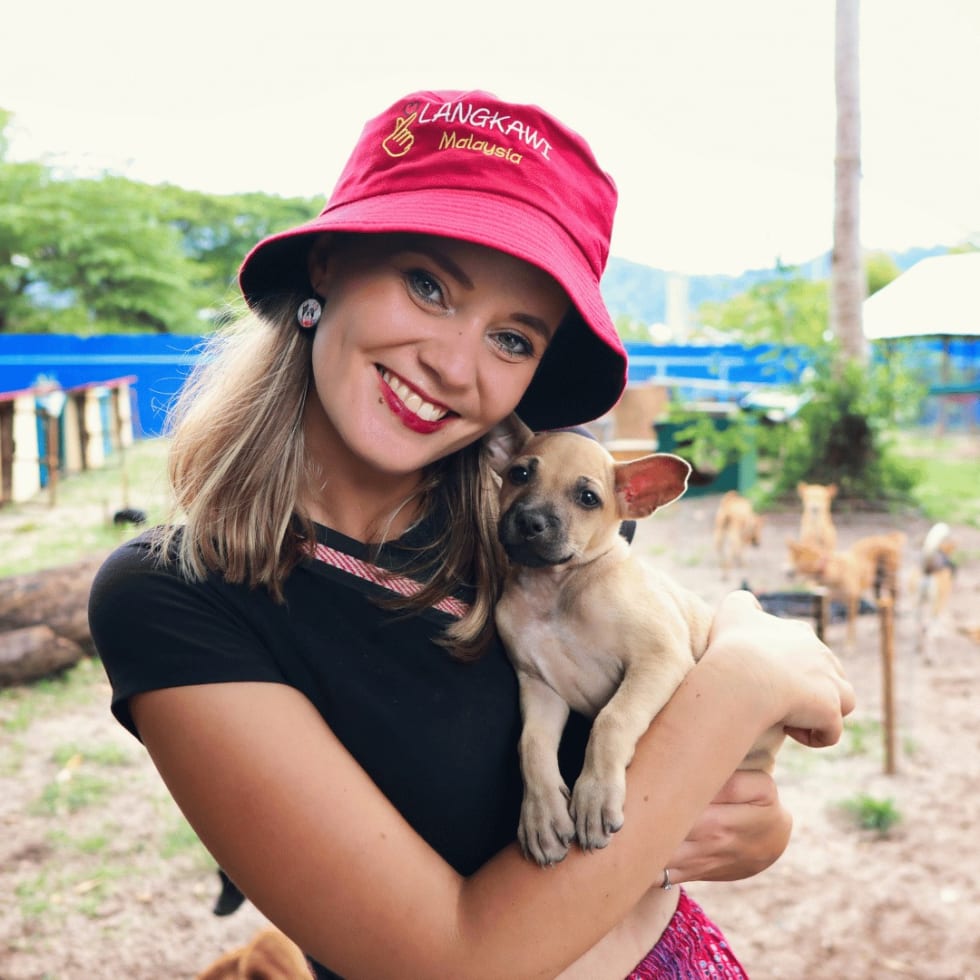 Photo in Sitter's gallery